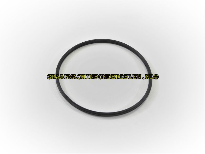 Pakking thermostaat C19